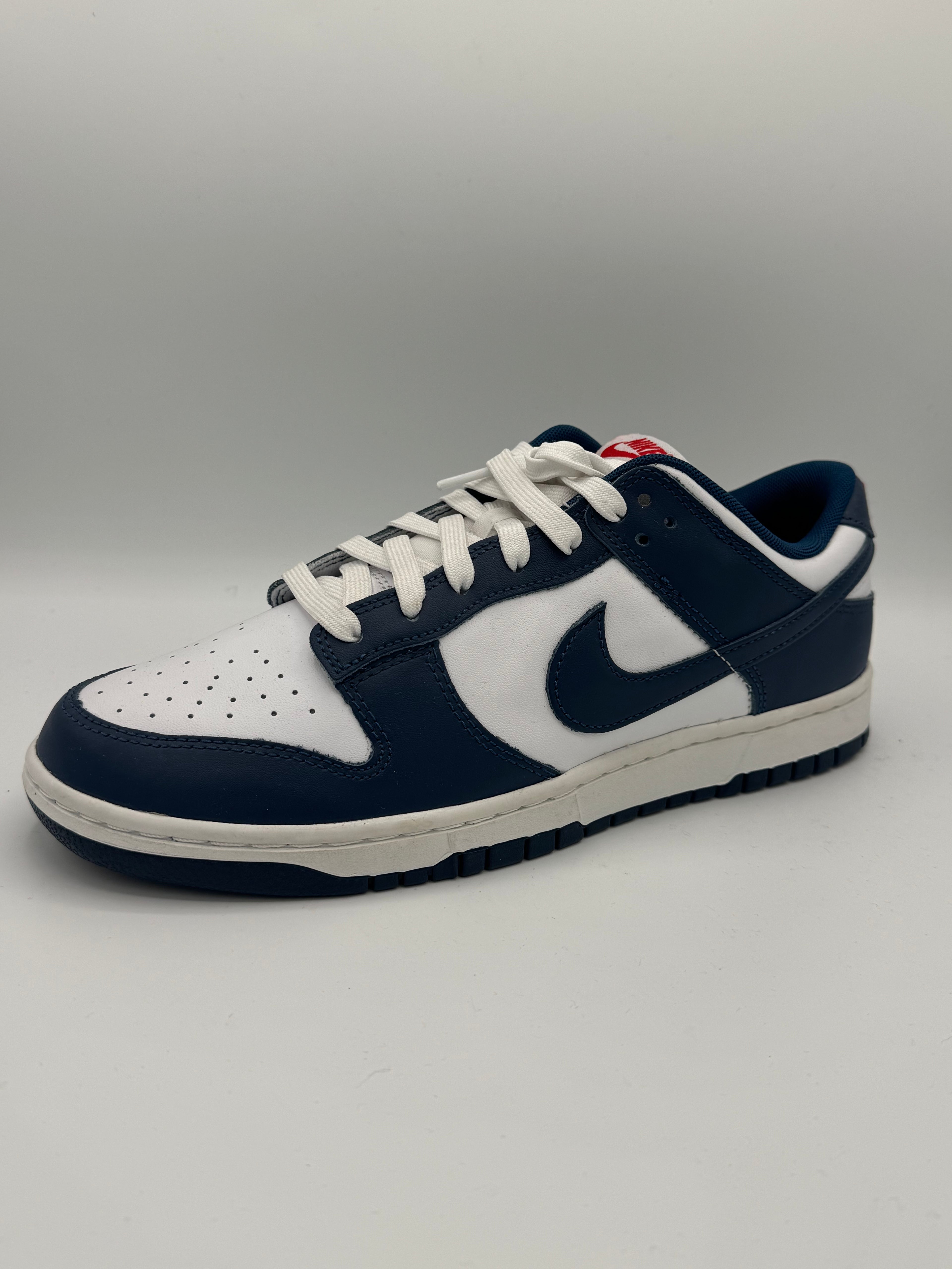 Nike Dunk Low Valerian Blue