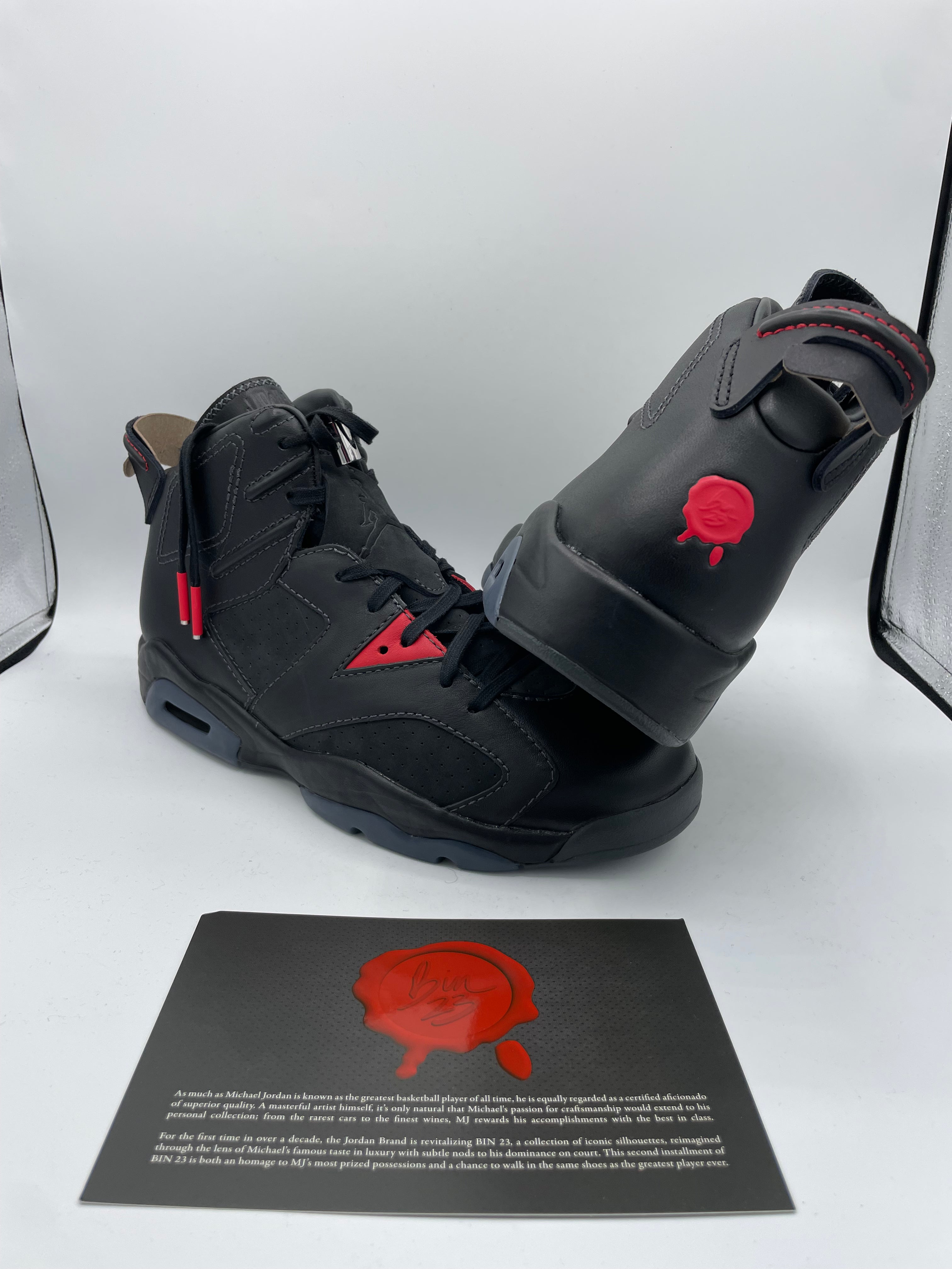 Jordan 6 Retro Bin23