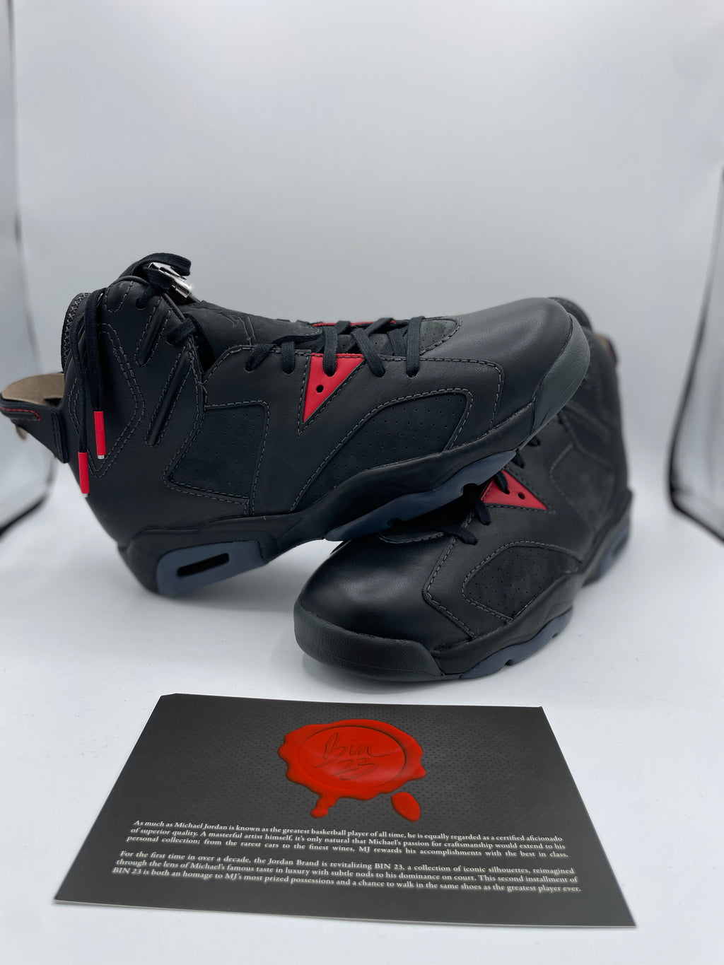 Jordan 6 Retro Bin23